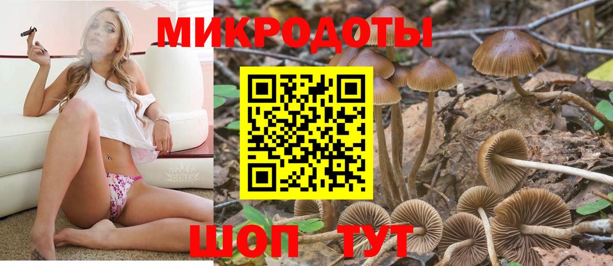 Оренбург  Псилоцибиновые грибы мухоморы  Вход с VPN 